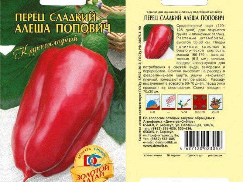 Сорта перца для открытого грунта: ранние, крупные, сладкие, урожайные, низкорослые, для сибири, подмосковья, средней полосы