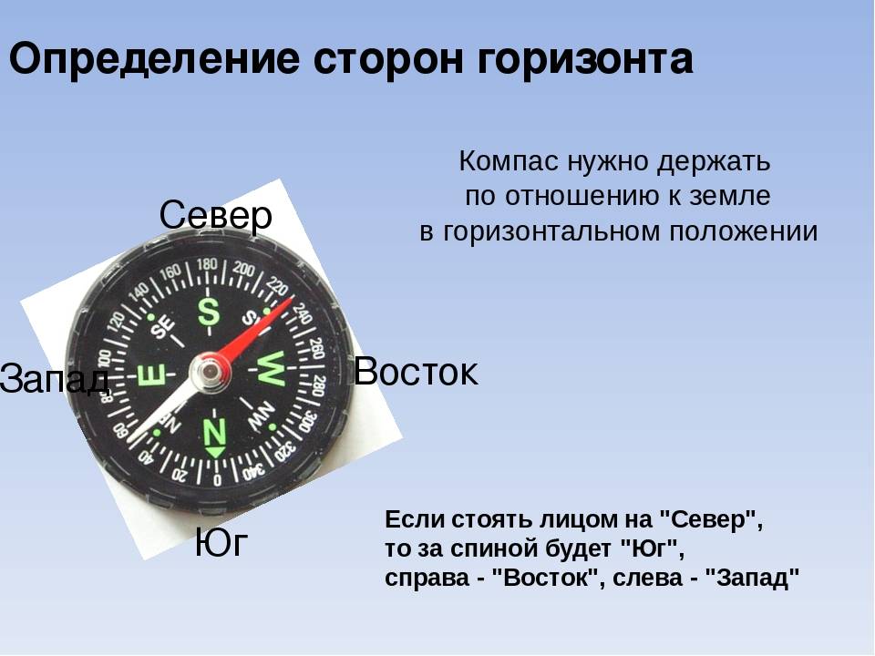 Компас местоположение. Стороны света на компасе на русском языке. Компас стороны горизонта. Обозначение сторон света на компасе.