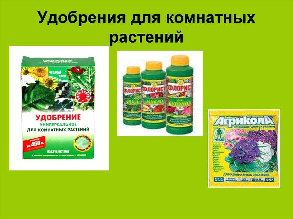 Удобрение для комнатных цветов: обзор лучшей подкормки, инструкции по применению
