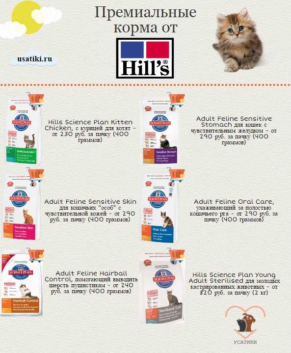 🐈 лучшие сухие корма для кошек на 2023 год