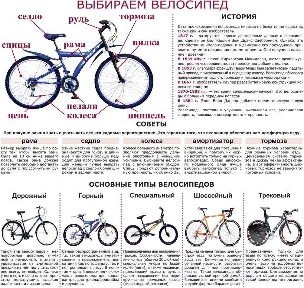 Самые лучшие велосипеды в мире: топ-10