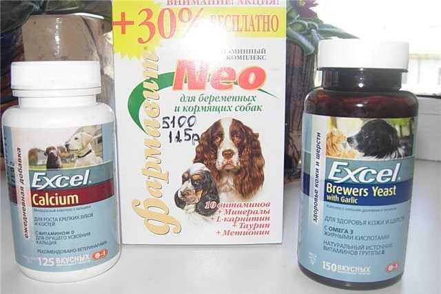 Лучшие корма для собак по мнению ветеринаров