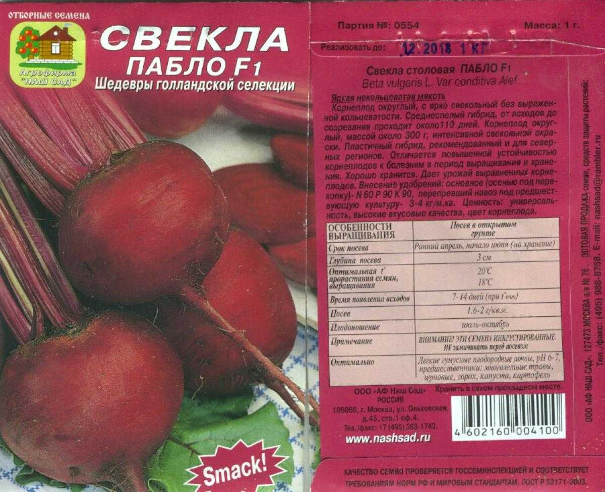Семена свеклы: лучшие сорта с описанием и фото