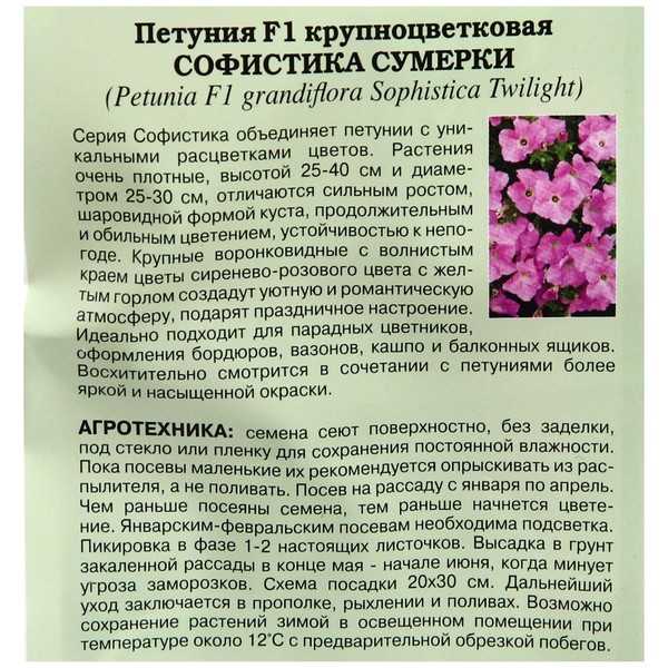Самые лучшие и красивые сорта петунии: названия, описание и фото