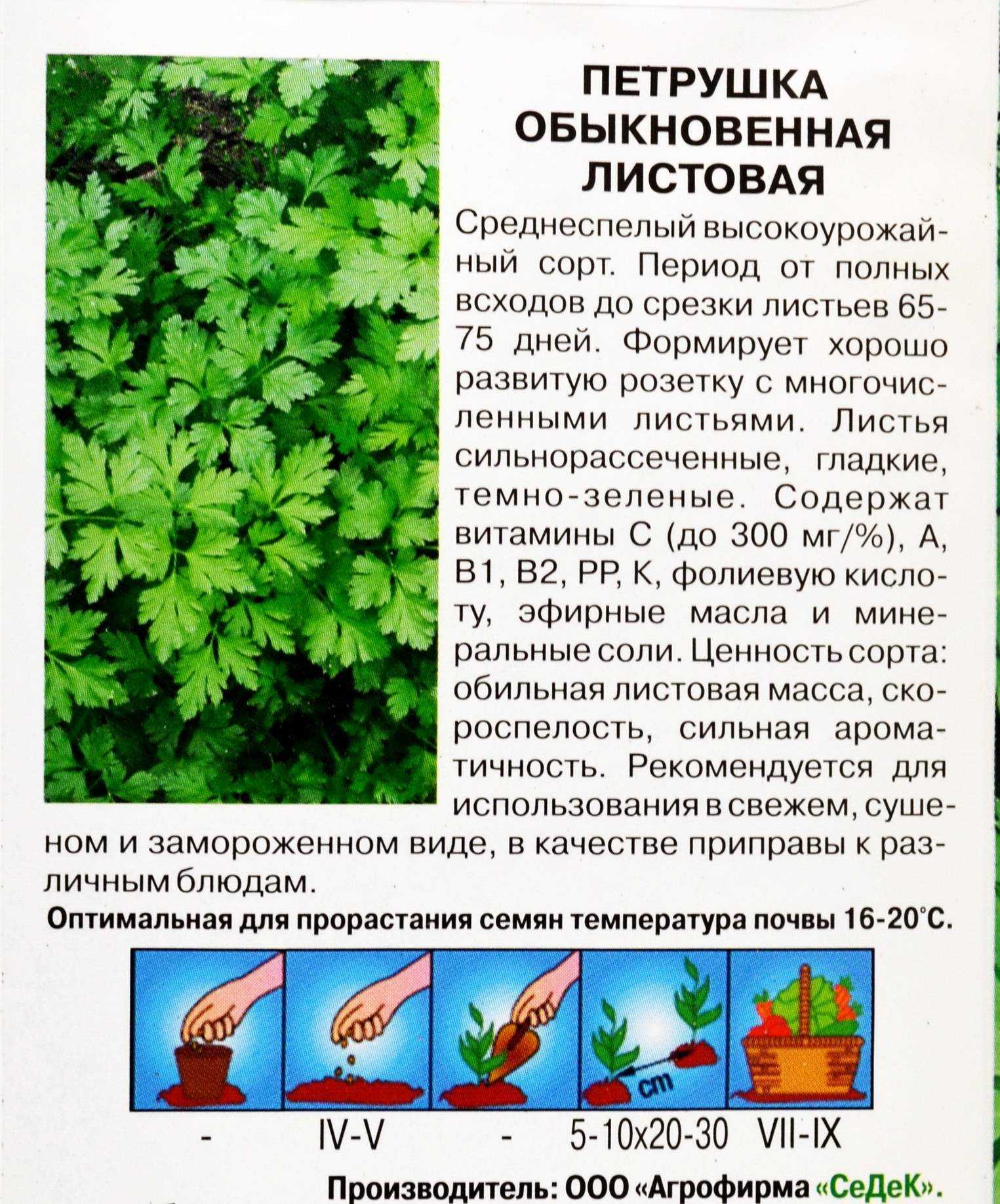Лучшие самоплодные сорта груш: особенности выращивания
