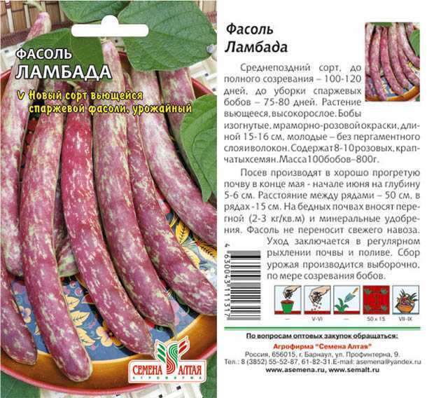 Сорта и виды фасоли - обзоры, использование