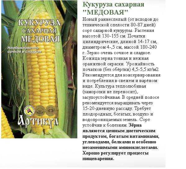 Сорта кукурузы
