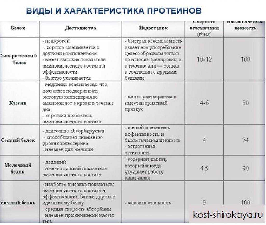 Самый дешевый протеин: обзор качественных и недорогих добавок