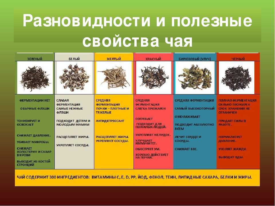 Топ 10 лучших черных чаев по мнению экспертов