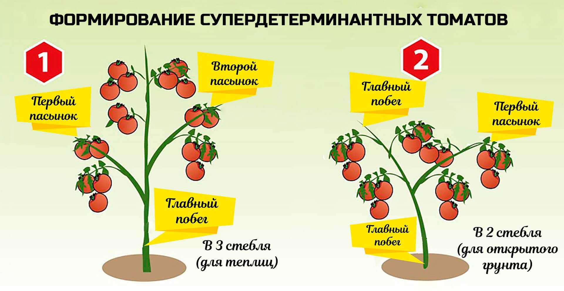 Черри схема посадки